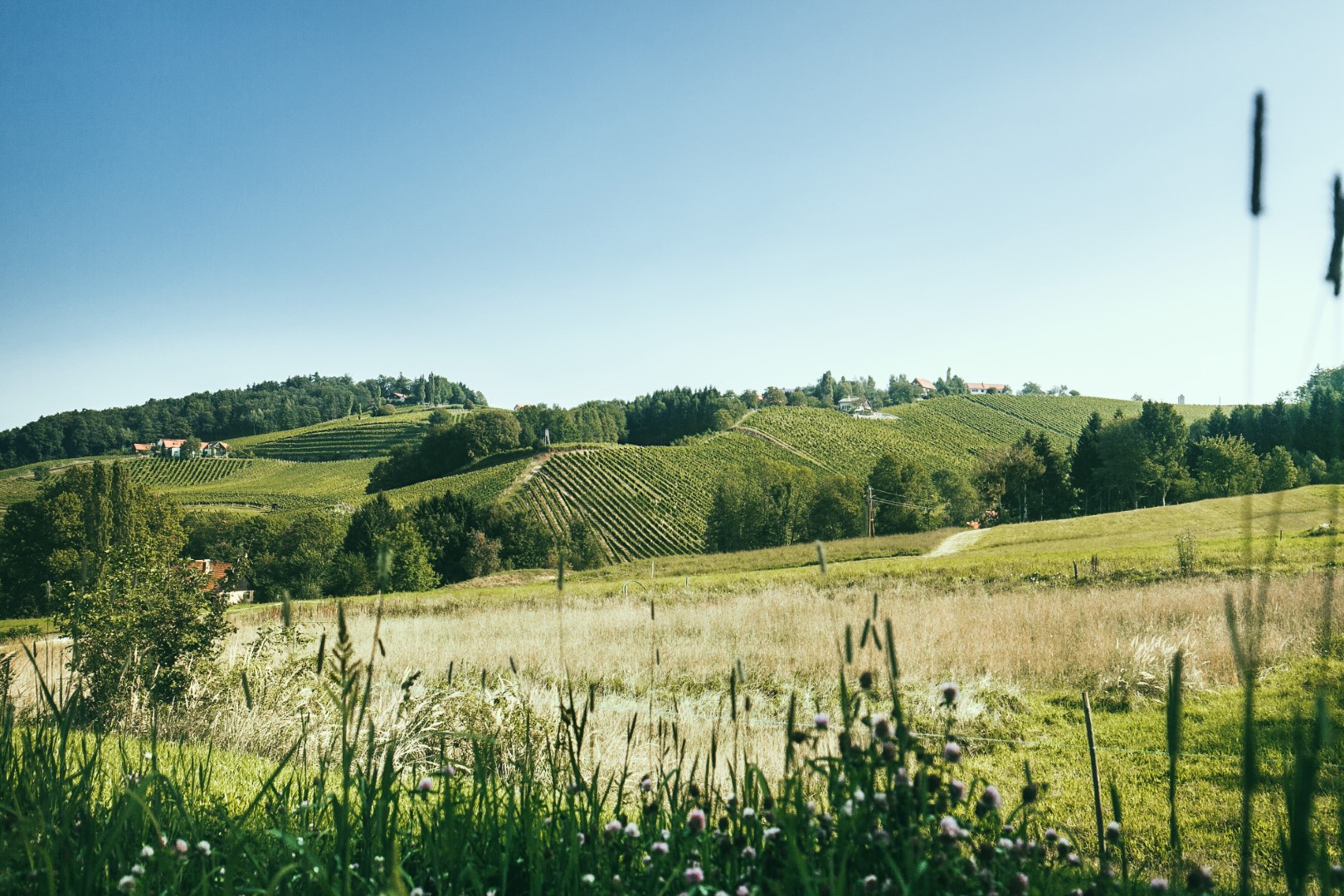 Weingut Gross am Nussberg