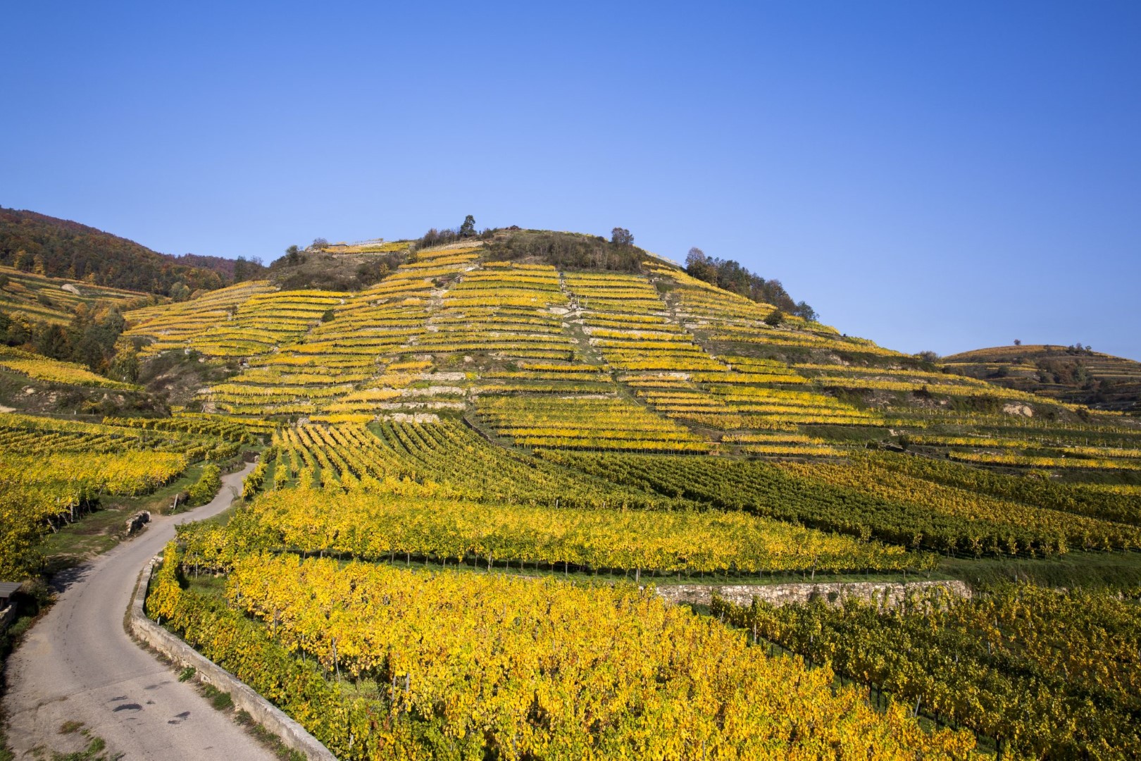 Weingut Pichler - Kollmütz